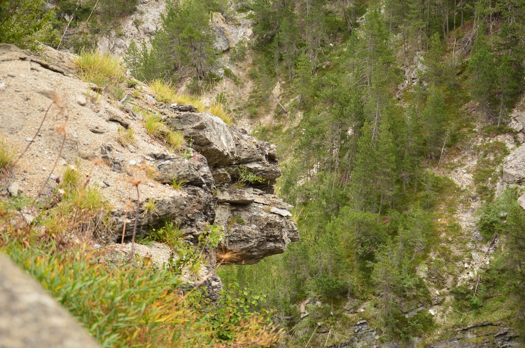 2015-07 Savoie/Essaillon/DSC_0172.JPG
